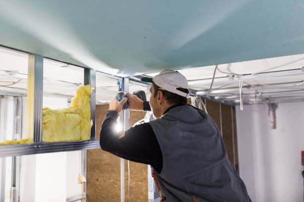 Best Soundproof Insulation  in Macon, IL